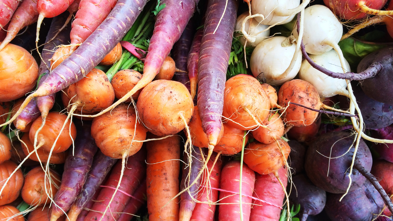 Nutritious and Delicious Root Vegetables: What to Eat in Fall