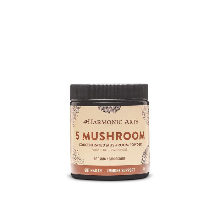 Harmonic Art's 5 Mushroom Concentrated Powder Organic - Chaga, Cordyceps, Lion's Mane, Reishi, Turkey Tail. 100g